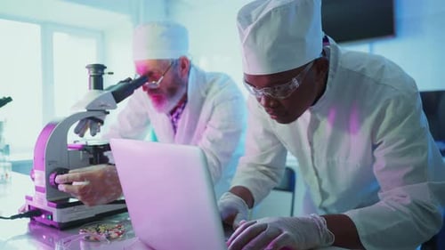 Wissenschaftler analysieren Proben unter dem Mikroskop im Labor