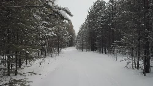 Road Along Winter Forest
