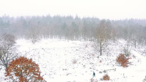 People Walking Through A Snowy Forest View In A Winter Storm - aerial shot
