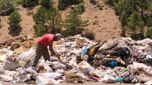 Worker Collecting Garbage in Landfill