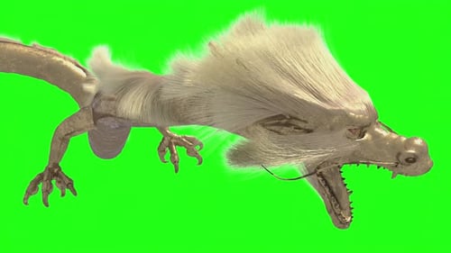 A Flying Golden Chinese Dragon with Long Gold Fur