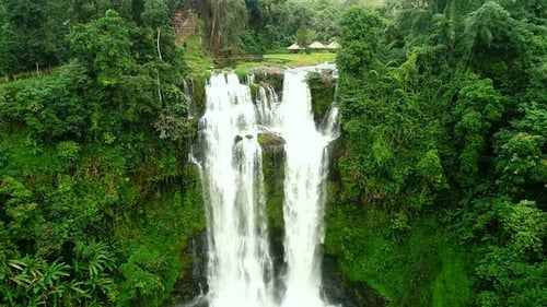Breathtaking Tropical Waterfall Cascading Down From A Vibrant Green Rainforest