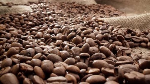 Pile of Roasted Coffee Beans Close-Up on Burlap