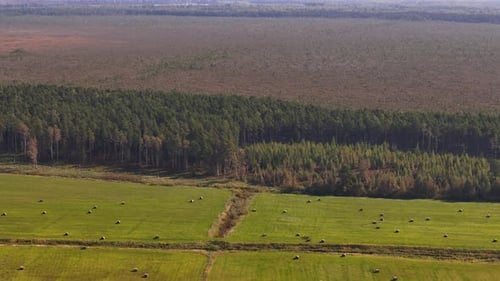 Kurzeme, Ventspils, Latvia; 4K Aerial Rotation Above Rural Farmland