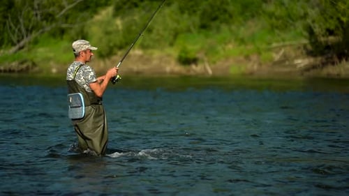 An Elderly Fisherman Catches Fish on a Spinning Rod While Fishing