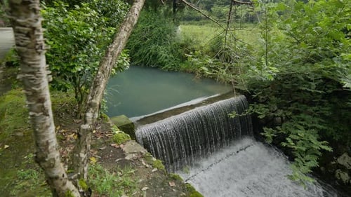 Eine üppige grüne Dschungelszene mit einem kleinen Wasserfall in einem kleinen Fluss in Nanxijiang Wenzhou Zhejiang