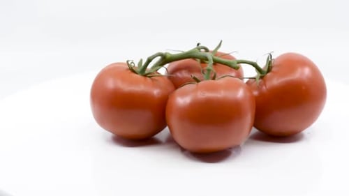 Fresh Tomatoes on the Vine Rotating on White