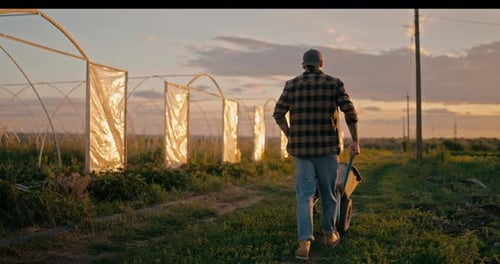 Rear View of a Confident Guy Farmer in a Checkered Shirt Walks Along a Field on a Farm and Rolls a