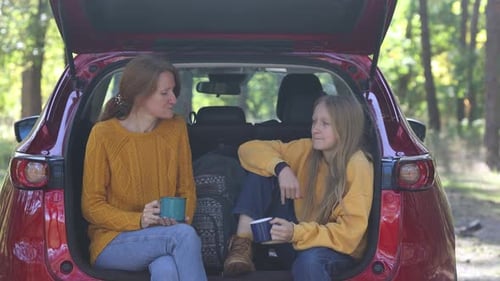 Forest Picnic In The Car Trunk 6