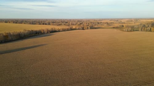Die endlosen Felder nach der Ernte Landschaft von Ackerland nach der Ernte Landschaft