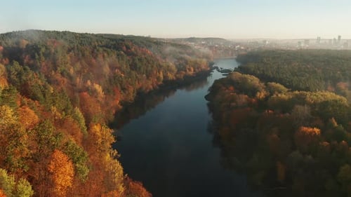 Treetops Emerge with Low Drone Flight Back Over the Autumn Forest Framing the River and Vilnius