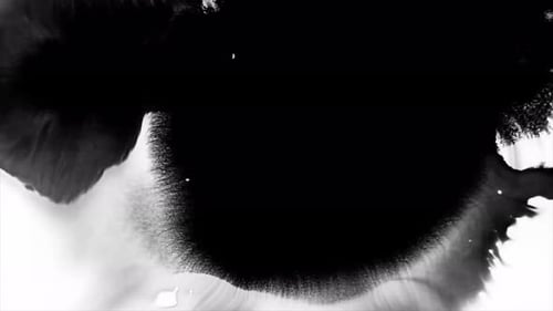 Abstract Black Ink Expanding on White Background