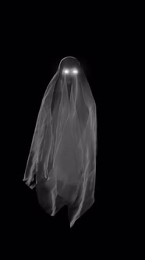 Flying cloth ghost portrait