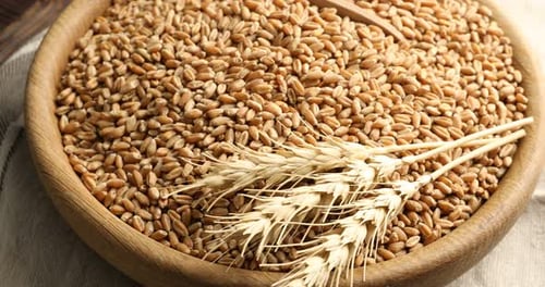 Golden Wheat Grain in a Wooden Bowl