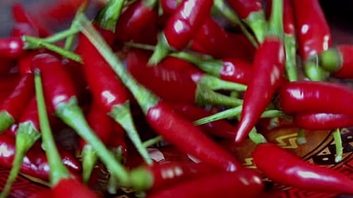 Group ripe flavouring, vegetarian cuisine, fresh red food spices
