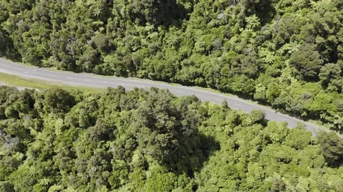 Viagem aérea serena sobre floresta verde e estrada sinuosa em viagem à luz do sol