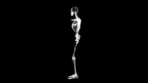 Human skeleton with arms outstretched on black background