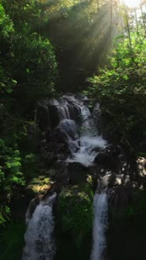 Friedlicher Wasserfall im Tropenwald