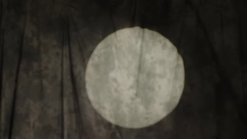 Clown Smiles with Red Nose and Beret