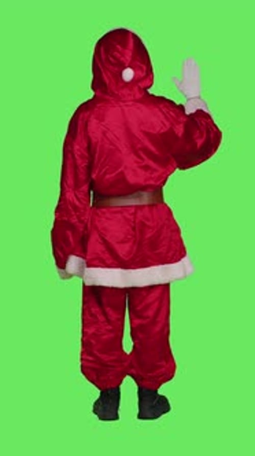 Vertical Video Back View of Christmas Embodiment Character