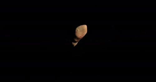 Asteroid Toutatis