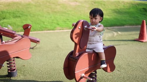 Boy Swinging On Toy Horse