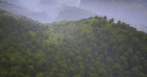 Lush Green Hills Covered with Trees and Fog in a Serene Mountainous Landscape