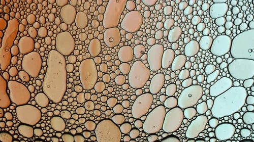 Abstract Colorful Food Oil Drops Bubbles 31