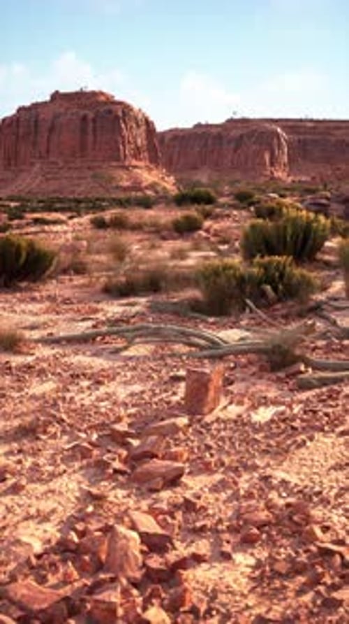 Barren Nevada Desert Landscape With Rocks and Plants