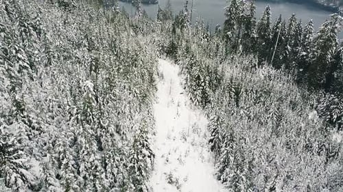Aerial of a Snowy Logging Road on Vancouver Island, Canada