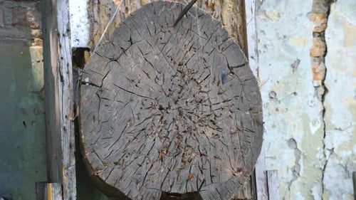 Throwing Knives are Hitting the Wooden Target Outdoor Cold Steel Arms Piercing a Wood Stand Outside