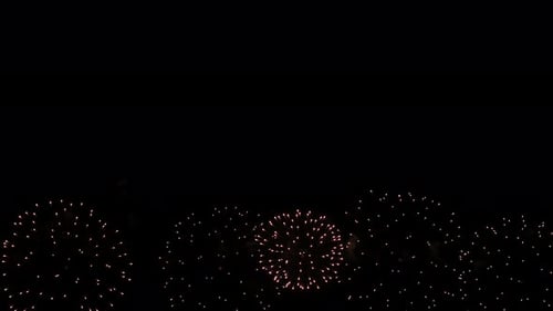 Colorful Fireworks Bursting in the Night Sky
