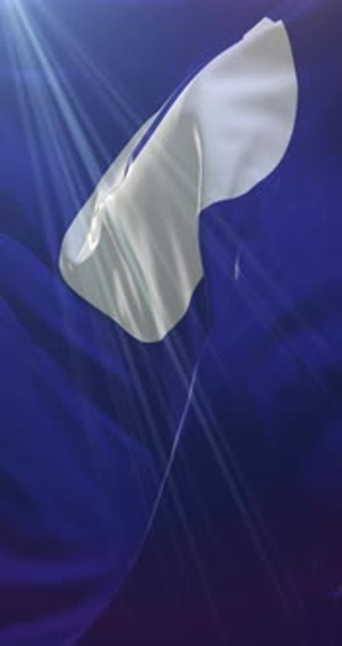 Animated Abstract White Shape on Fluid Blue Fabric Loop