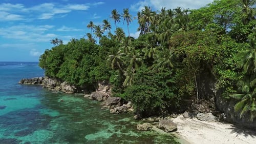 Tropical Beach with Turquoise Sea Water and Lush Green Palm Trees