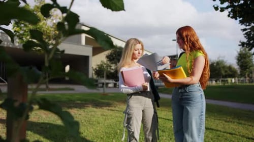 Engaged Students Sharing Homework Insights on Campus Grounds