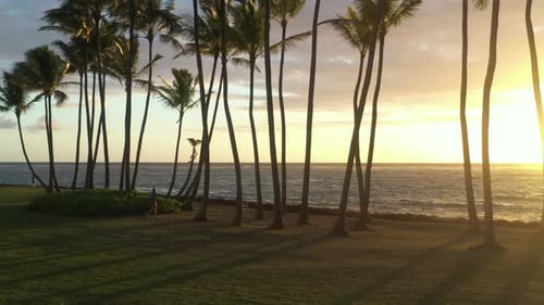 Luftbild über Kokospalmen bei Sonnenuntergang am Strand, Kauai Hawaii