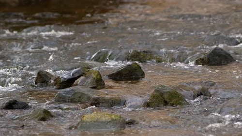 Waterfall On A River In Wild Nature 14