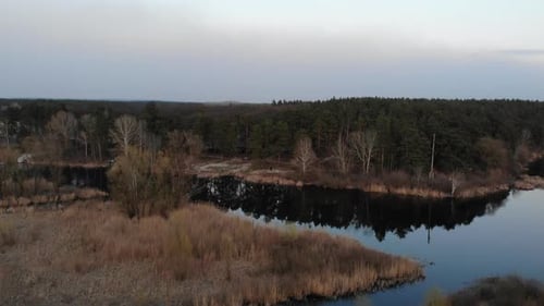 Flug über den See, der von Wald umgeben ist