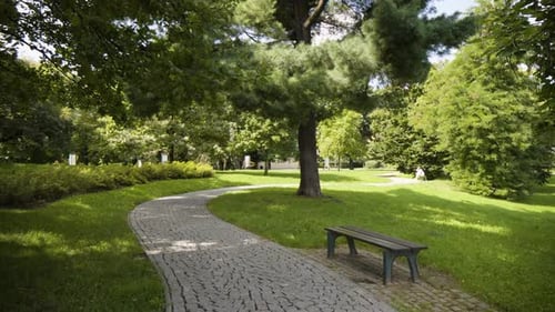 A Paved Pathway Through a Green Park on a Sunny Day