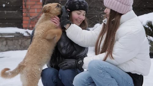 Two girls with dogs playing in snow during snowfall