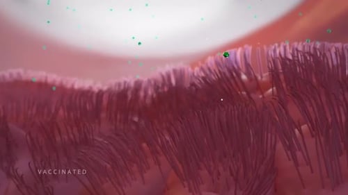 Vibrant microscopic view of cilia on cellular surface