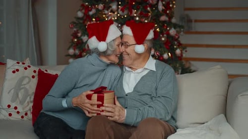 Senior Couple Exchanging Christmas Present by Decorated Tree