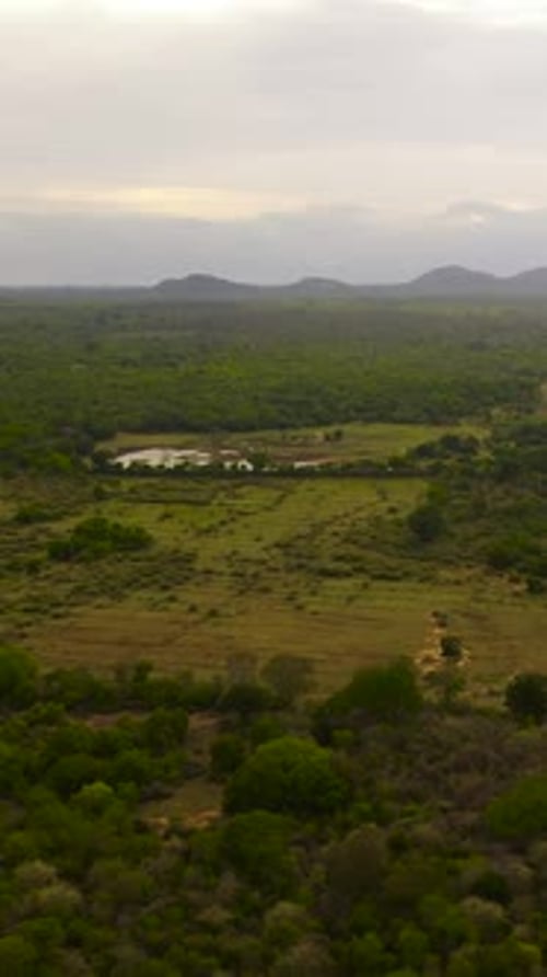 Aerial View of Tropical Landscape in Sri Lanka