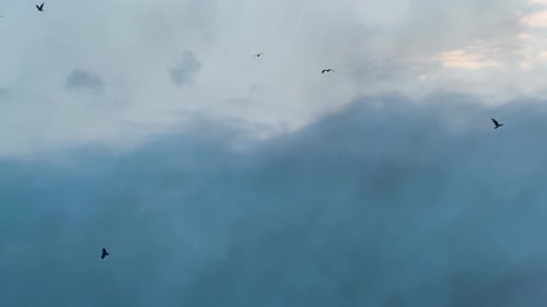 Birds Soaring in Tranquil Cloudy Sky