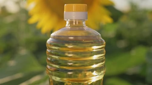 Sunflower Oil Bottle in Sunny Field