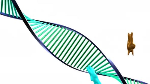 Detailed scientific model of a rotating dna strand
