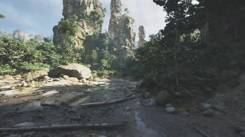 Serpentine Pathway Through Rugged Terrain Shaded By Dense Plant Growth