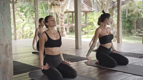 Women Practicing Yoga Together in Outdoor Studio