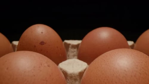 Dolly Shot of Brown Eggs in Carton