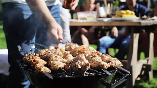Friends enjoy barbeque in a sunny green yard